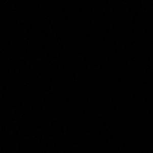 Meet your Posher, Dakota